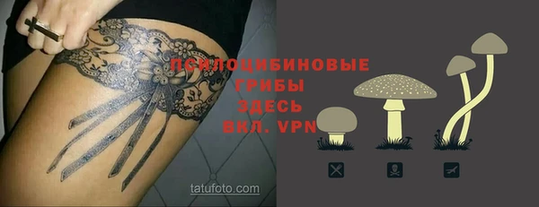 синтетический гашиш Ельня