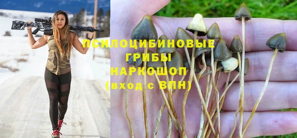 тгк Елизово