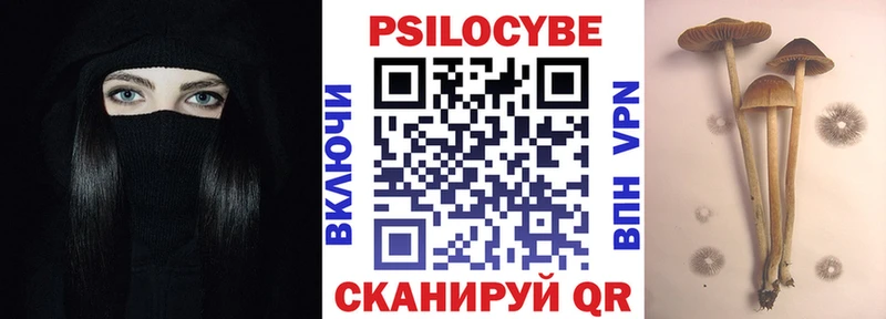 купить наркоту  Каргополь  гидра   Галлюциногенные грибы мицелий 