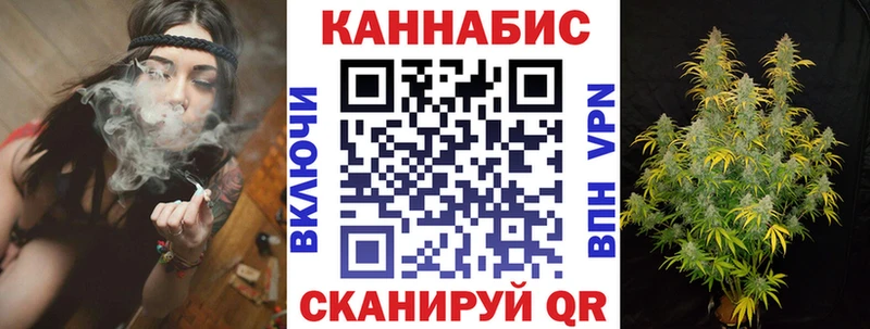Бошки Шишки гибрид  ОМГ ОМГ как зайти  Каргополь 